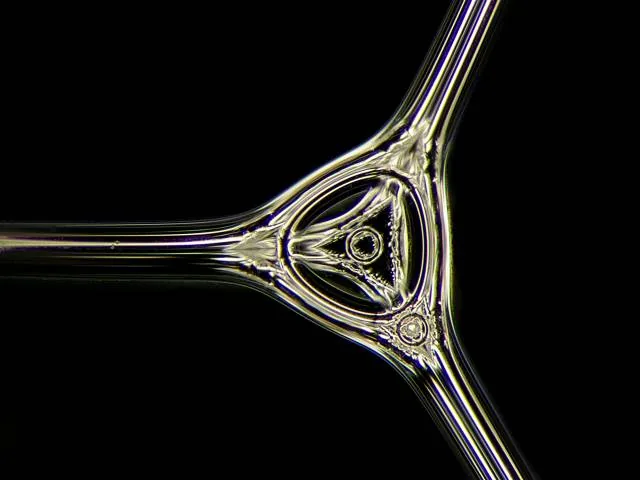 "soap bubbles"