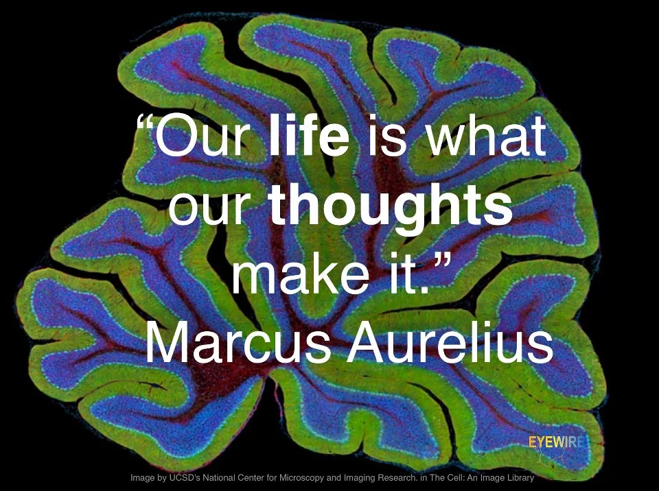 Our life is what our thoughts make it Marcus Aurelius