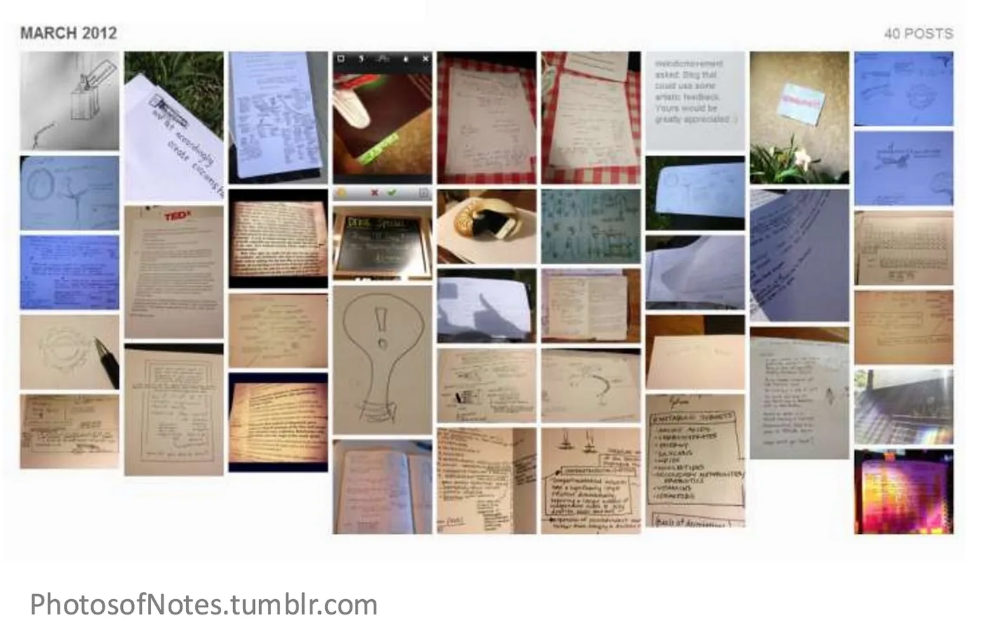 photosofnotes, photos, notes, tumblr, amy robinson, quantified curiosity,