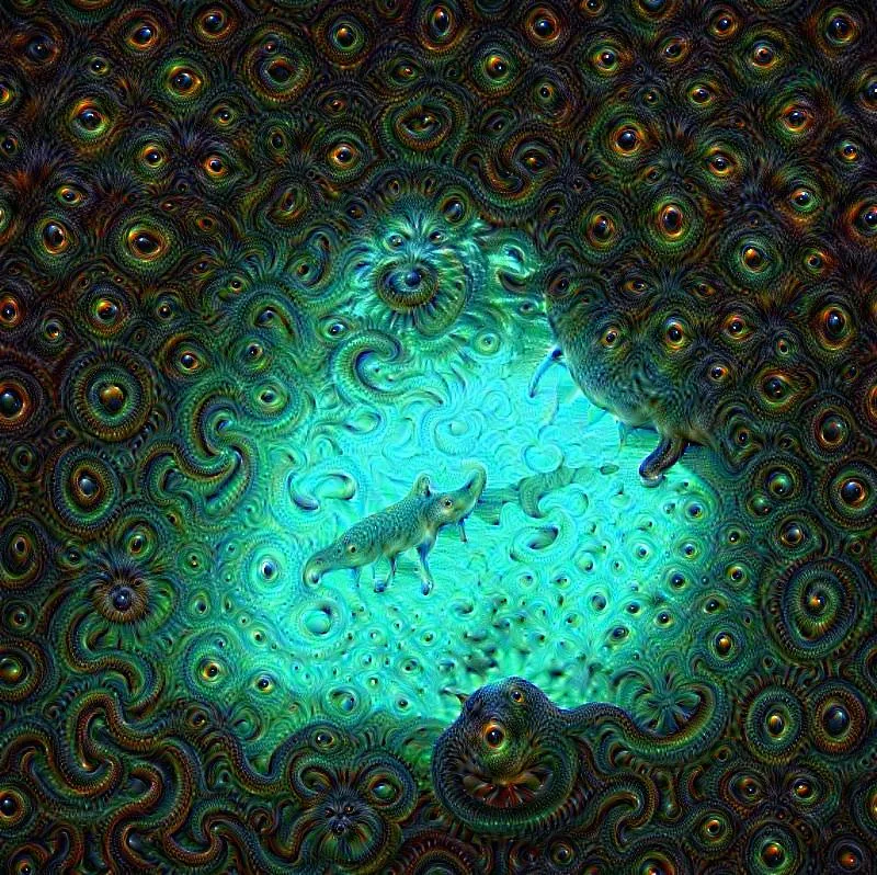 GoPro, deepdream, AI, instagram