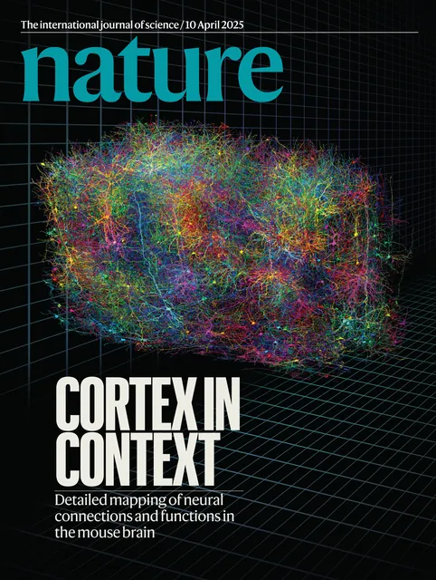 Nature cover, 10 April 2025: Cortex in Context